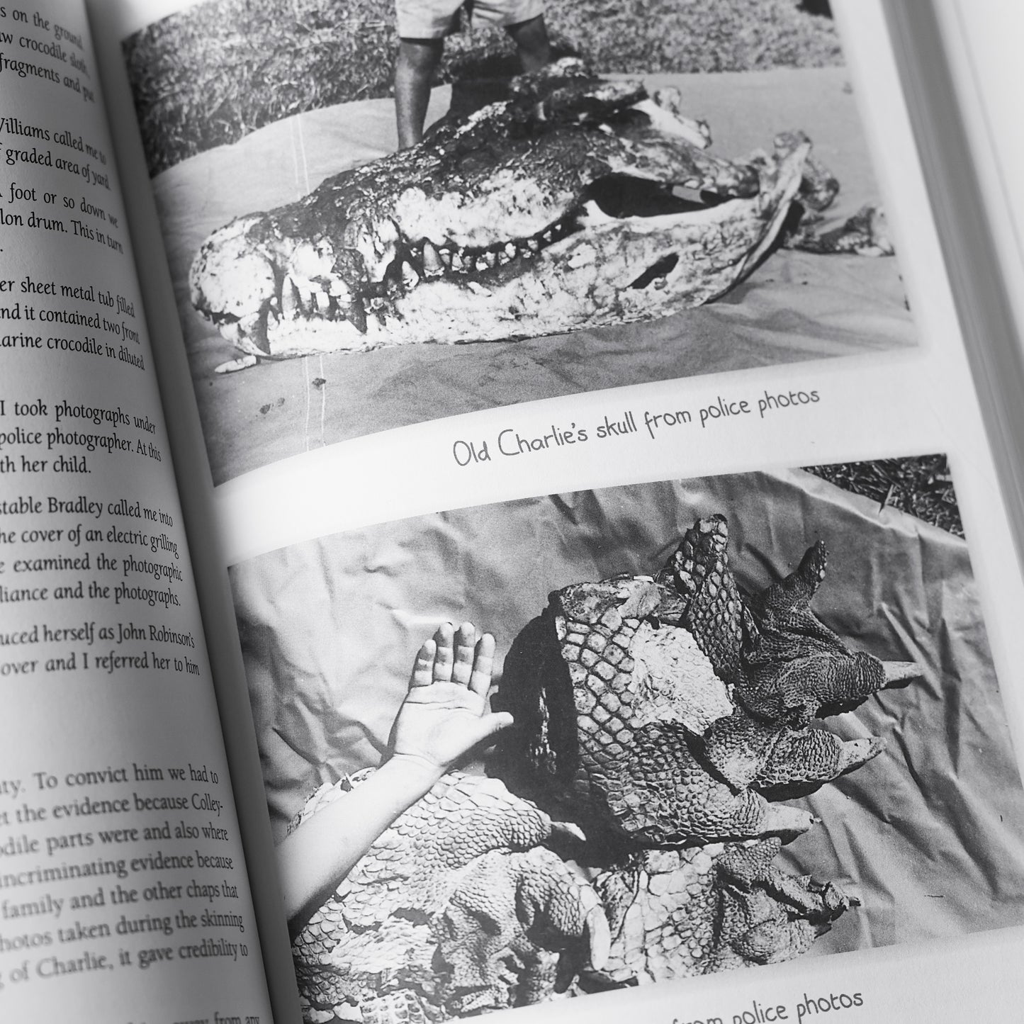 Book: Cops, Crocs & Leopard-Skin Jocks