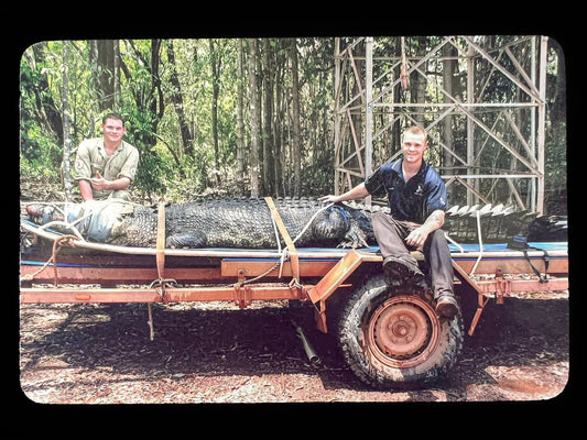 The Beast Of Berry Springs (4.7 Metre Saltwater Crocodile).