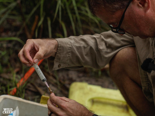 The Chuck Norris of Crocodile Safety - Chris Peberdy