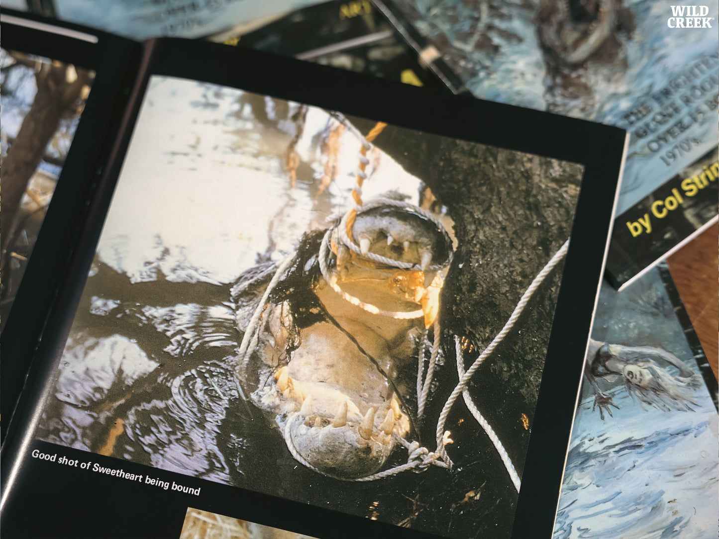 The Saga of Sweetheart (COMING SOON)