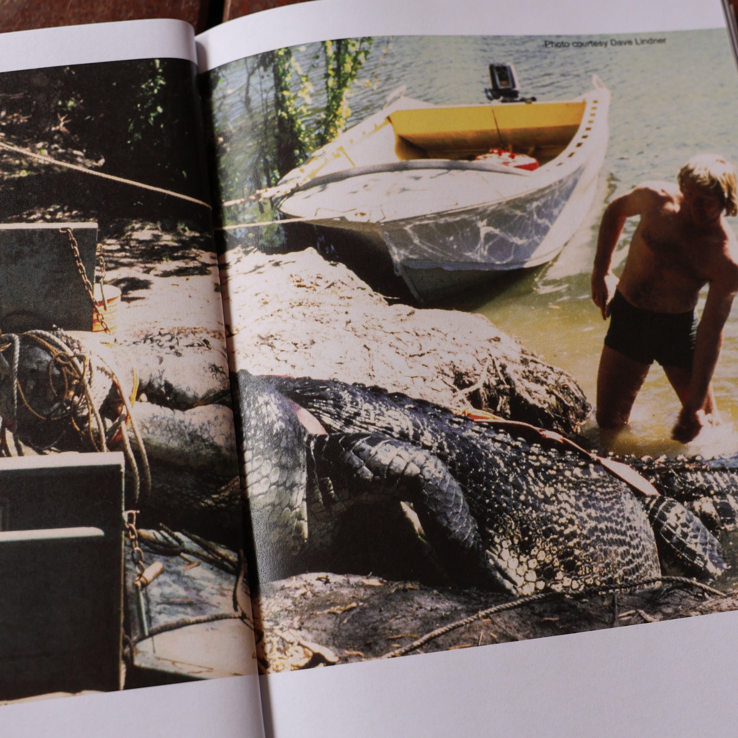giant crocodile sweetheart book
